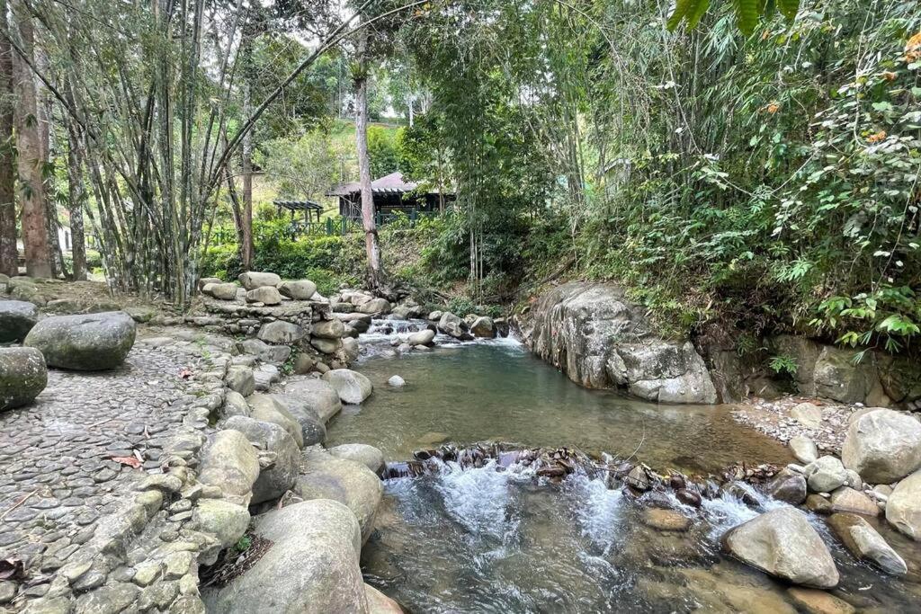 Charis Janda Baik Semi-d 5:3 Bedrooms + Pool